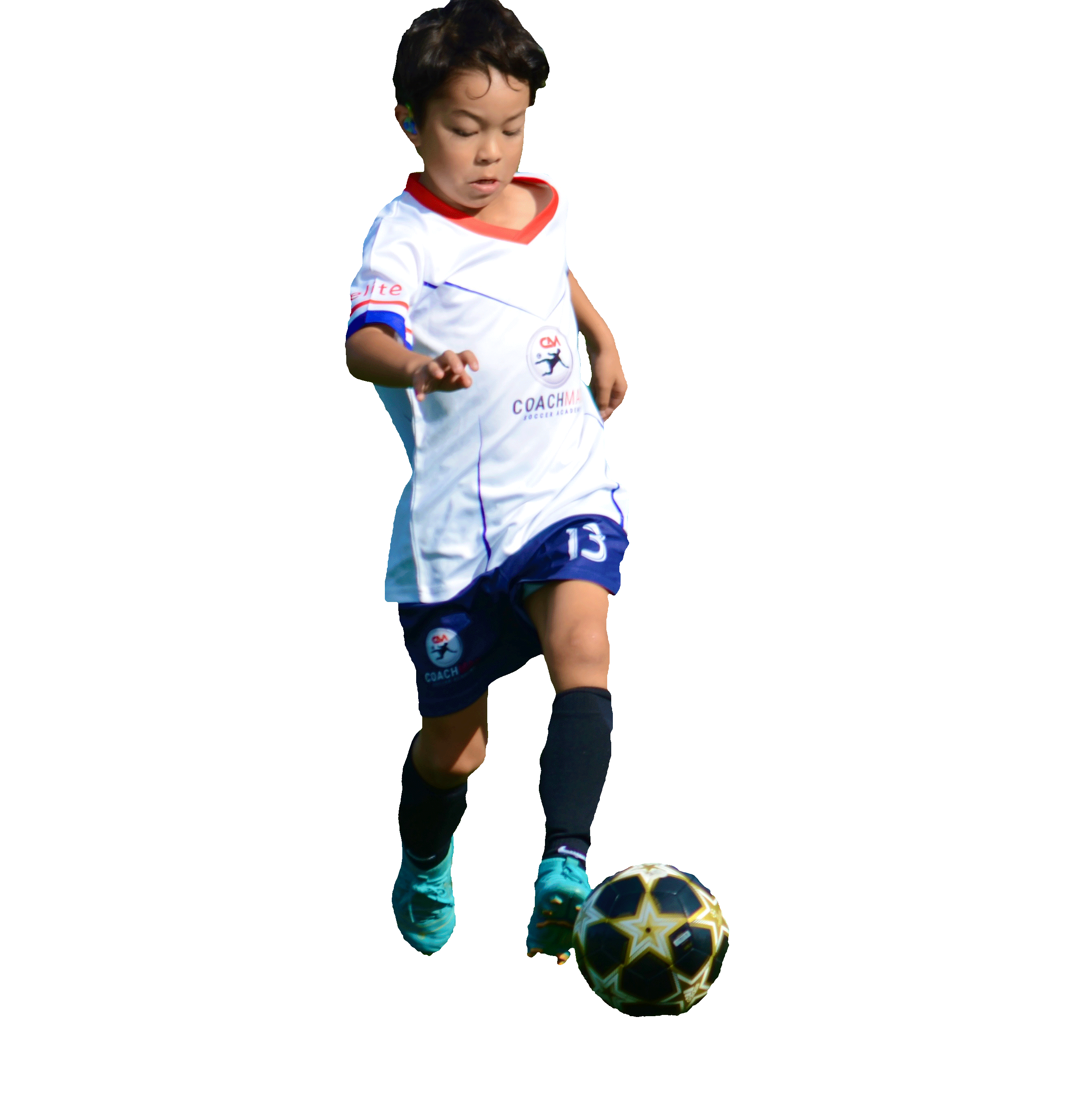 Coach Max Image
